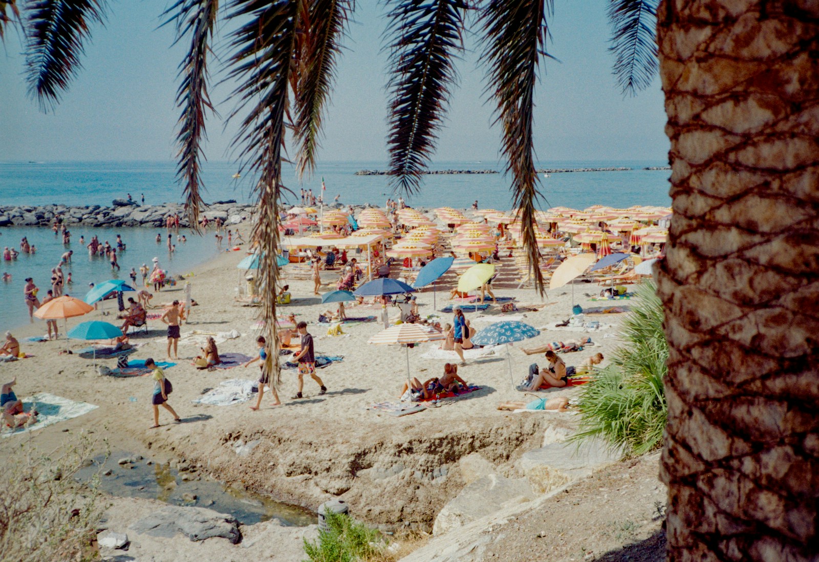 A beach filled with lots of people and palm trees
